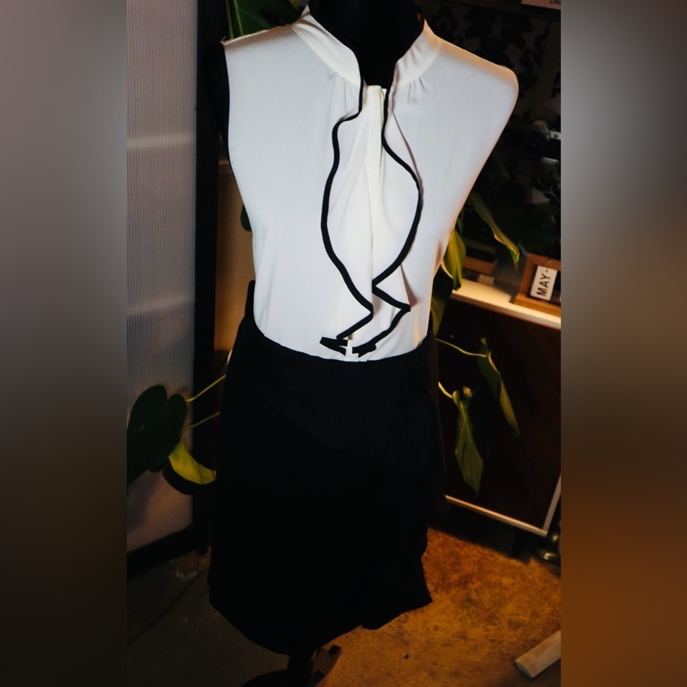 Lane Bryant ICON Collection Skirt Vintage - Picture 5 of 7